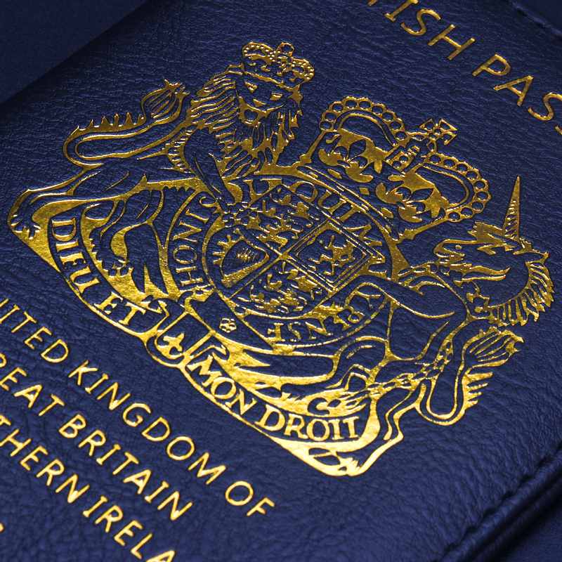 Passport Cover - Blue - D0001 - Image 3